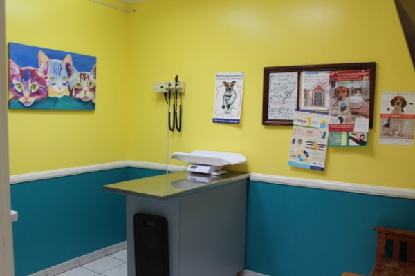 Exam room